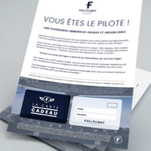 Simulateur de vol Full Flight à Paris - La Carte Cadeau
